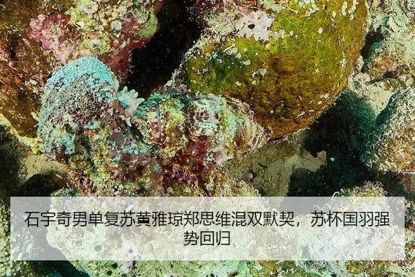 shi-yu-qi-nan-dan-fu-su-huang-ya-qiong-zheng-si-wei-hun-shuang-mo-qi-su-bei-guo-yu-qiang-shi-hui-gui-2-962.jpg