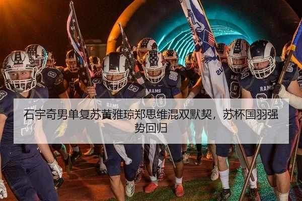 shi-yu-qi-nan-dan-fu-su-huang-ya-qiong-zheng-si-wei-hun-shuang-mo-qi-su-bei-guo-yu-qiang-shi-hui-gui-3-518.jpg